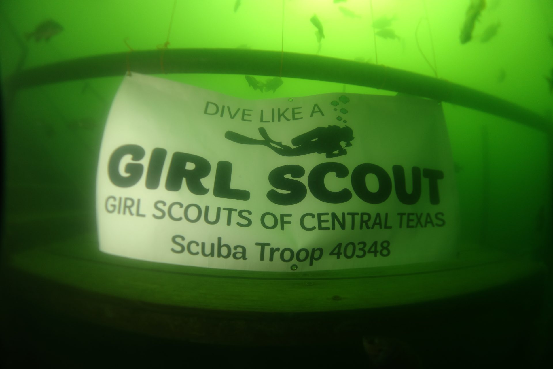 The group's "DIVE LIKE A GIRL SCOUT" banner hangs underwater for a troop event. 