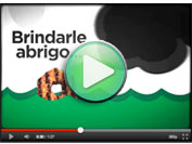 Una Galleta Girl Scout Puede