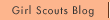 Girl Scout Blog