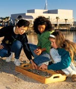 Photo of Girl Scouts examining items on a beach.