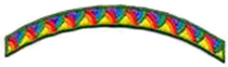 Bridge to Girl Scout Ambassador patch