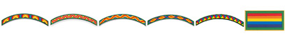 Girl Scout insignia. © GSUSA. All rights reserved.