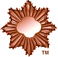 Girl Scout Bronze Award. © GSUSA. All rights reserved.