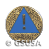 Safety Award for Girl Scouts 11-17. &copy; GSUSA. All rights reserved.
