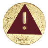 Safety Award for Brownie Girl Scouts. © GSUSA. All rights reserved.