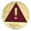 Safety Award for Brownie Girl Scouts. &copy; GSUSA. All rights reserved.