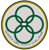 Cadette Girl Scout Challenge Pin. &copy; GSUSA. All rights reserved.