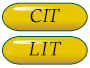 Counselor-in-Training Pin and Leader-in-Training Pin. &copy; GSUSA. All rights reserved.