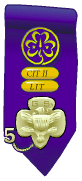 Insignia Tab. &copy; GSUSA. All rights reserved.