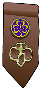 Insignia Tab. &copy; GSUSA. All rights reserved.