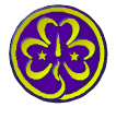 World Trefoil Pin. &copy; GSUSA. All rights reserved.
