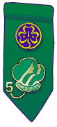 Insignia Tab. &copy; GSUSA. All rights reserved.