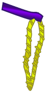 Patrol Leader's Cord. &copy; GSUSA. All rights reserved.