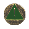 Safety Award for Junior Girl Scouts. &copy; GSUSA. All rights reserved.