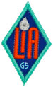 Cadette Leadership In Action Award Patch (LiA)