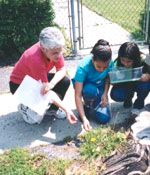 Photo of two Girl Scouts and adult examining plantlife on sidewalk. &copy; GSUSA. All rights reserved.