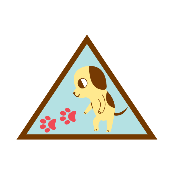 Cybersecurity 3: Investigator