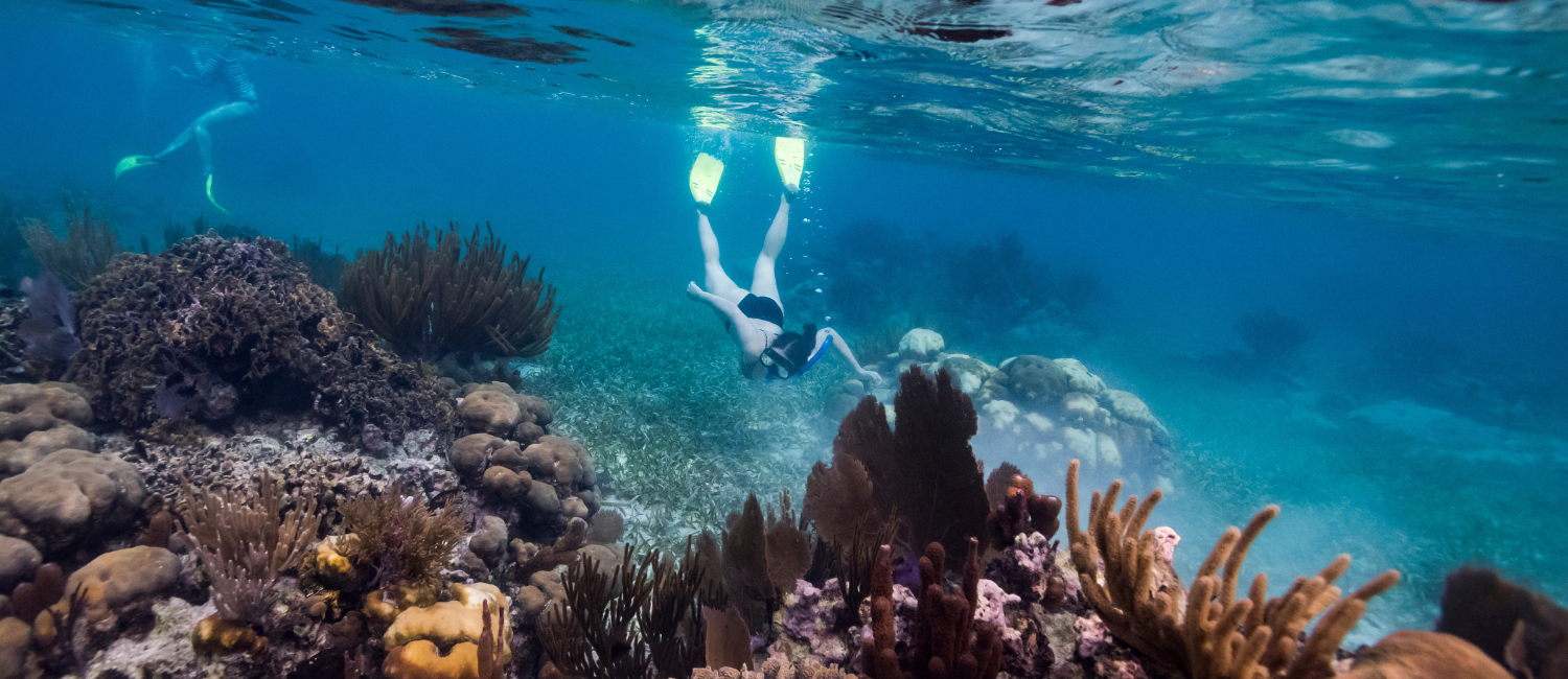 a teen girl snorkeling over a coral reef