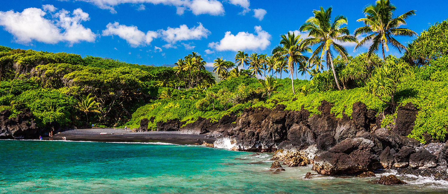 a black-sand beach with aqua water and palm trees on a rocky coast