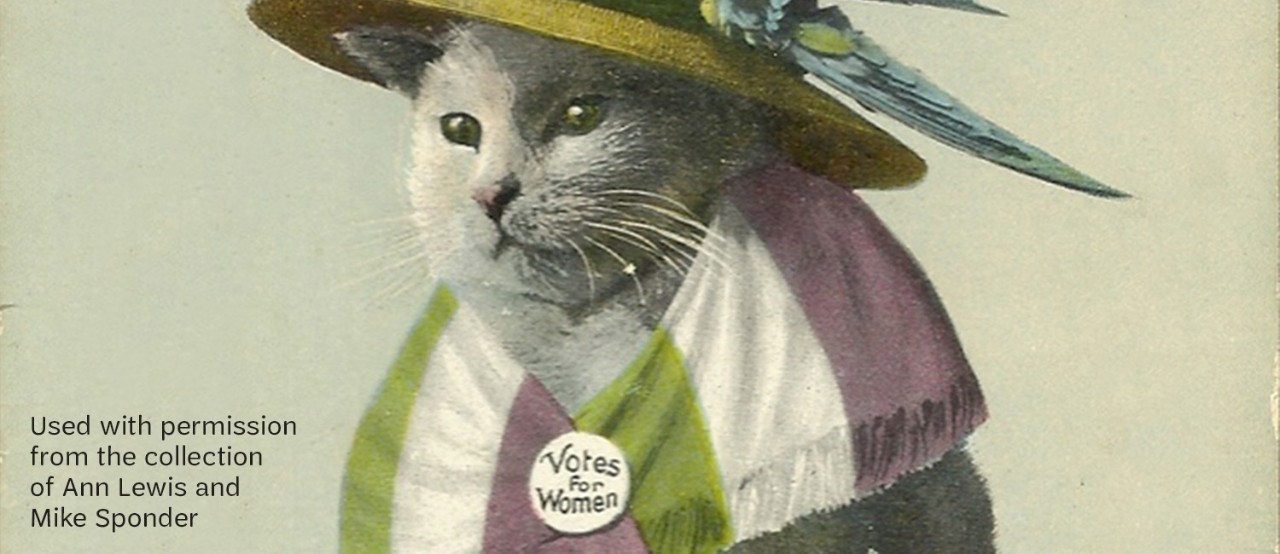 An antique image of a cat wearing a votes for women shawl and a large hat with a bird on it