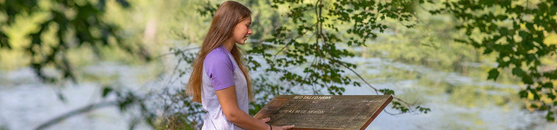  A girl reading a trail sign containing information about the Red Tailed Hawk and Great Blue Heron 