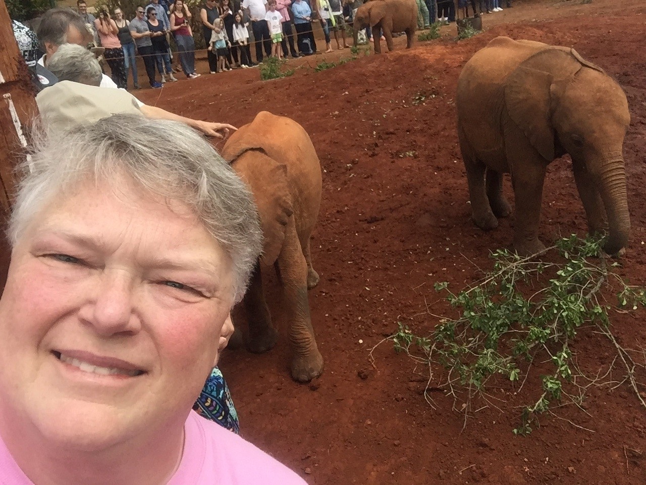 Lori taking a selfie with two baby elephants