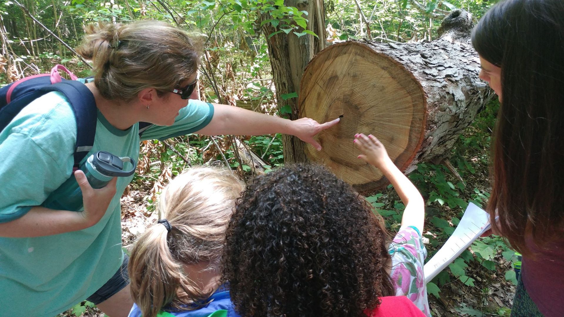 daisies looking at tree rings with their troop leader